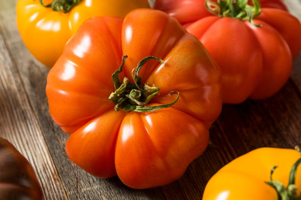 istock Healthy Organic Heirloom Tomatoes 1151470354