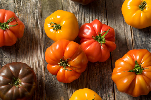 istock Healthy Organic Heirloom Tomatoes 1151470479