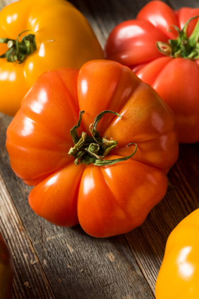 istock Healthy Organic Heirloom Tomatoes 1151470781