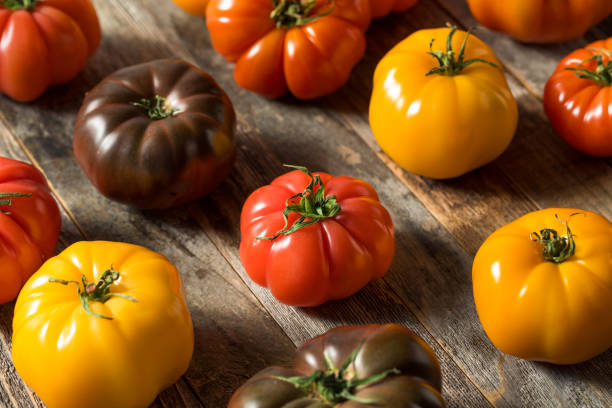 istock Healthy Organic Heirloom Tomatoes 1151470820