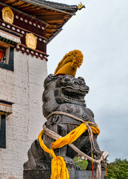 Example of Traditional Tibetan Buddhist Stone Guardian Lion. Stone Chinese Guardian Lion with Tibetan Yellow Hat at Langmusi Monastery, Gannan Tibetan Autonomous Prefecture, Gansu Province, China. chinese temple dog stock pictures, royalty-free photos & images