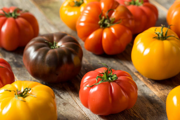 istock Healthy Organic Heirloom Tomatoes 1151470931