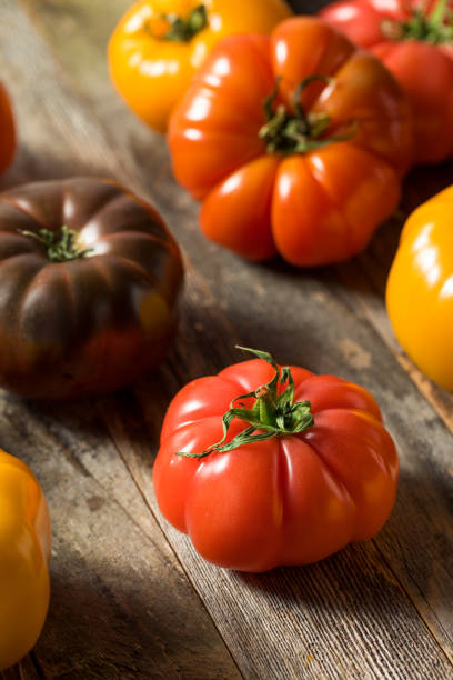 istock Healthy Organic Heirloom Tomatoes 1151470960
