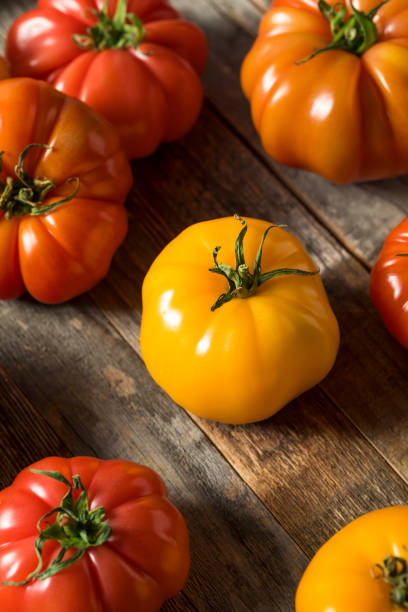 istock Healthy Organic Heirloom Tomatoes 1151470975