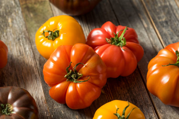 Healthy Organic Heirloom Tomatoes