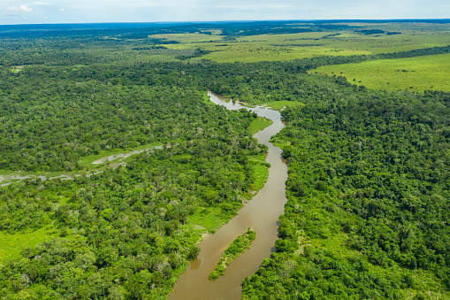 Río de la selva serpenteando en la selva tropical de la cuenca del Congo photo