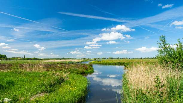 beau paysage de polder avec les reflets du ciel dans un large fossé, près de rotterdam, les pays-bas - grass sky cloudscape meadow photos et images de collection