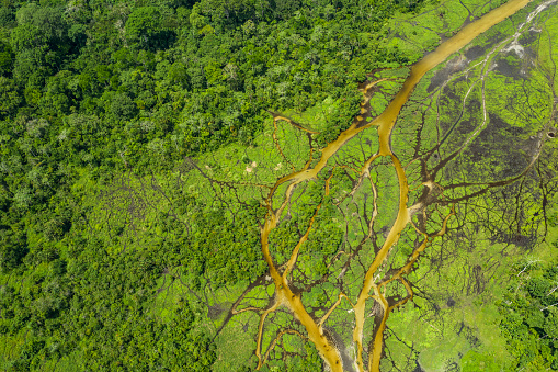 Aerial view of a Bai (saline, mineral lick) in the rainforest of the Congo Basin. This rich mineral clearing is located in the middle of the rainforest where forest elephants, buffalos and gorillas gather in large numbers to reap the benefits of the mineral salts. Odzala National Park, Republic of Congo.