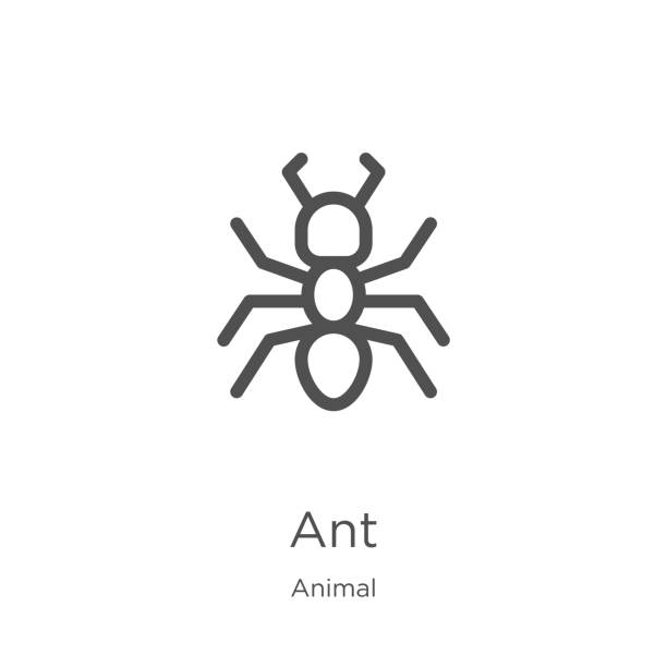 動物のコレクションからの ant のアイコンベクトル。細い線 ant のアイコンベクトルイラストをアウトライン。アウトライン、細い線 ant のウェブサイトのデザインとモバイル、アプリ開発の� - アリ点のイラスト素材／クリップアート素材／マンガ素材／アイコン素材