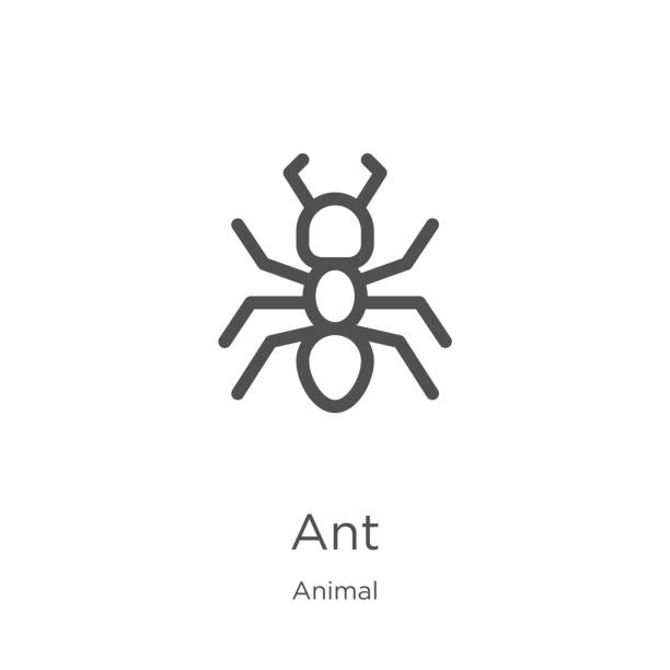 ant icon vector from animal collection. Thin line ant outline icon vector illustration. Outline, thin line ant icon for website design and mobile, app development. ant icon. Element of animal collection for mobile concept and web apps icon. Outline, thin line ant icon for website design and mobile, app development ant stock illustrations