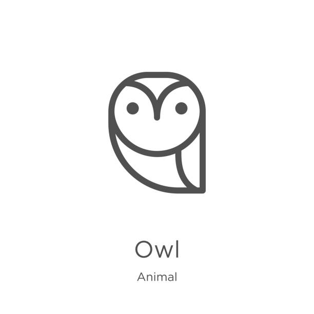 owl icon vector from animal collection. Thin line owl outline icon vector illustration. Outline, thin line owl icon for website design and mobile, app development. owl icon. Element of animal collection for mobile concept and web apps icon. Outline, thin line owl icon for website design and mobile, app development owl illustrations stock illustrations