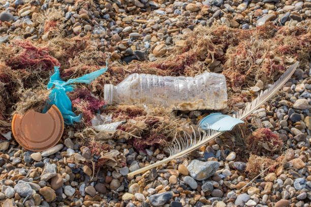 istock Marine pollution. Plastic bottle cup and bag mixed with nature washed up on beach. 1151478106
