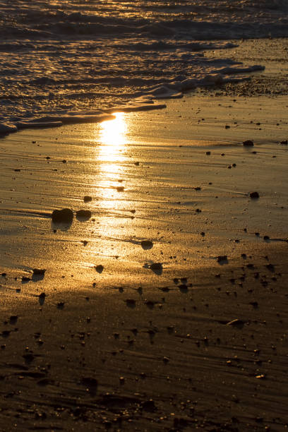 istock Beach vacation. Romantic evening sunlight reflecting off sand. 1151478109
