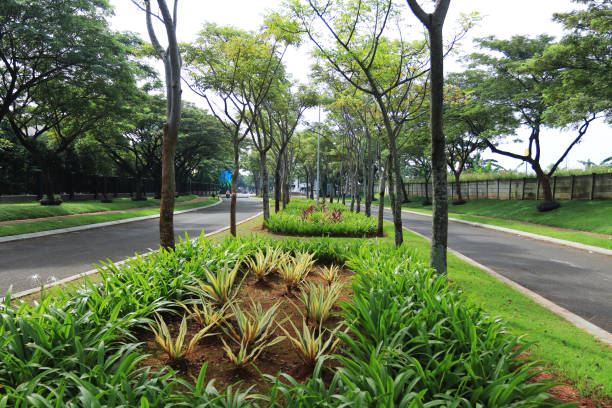 istock green garden full of plants 1151482222