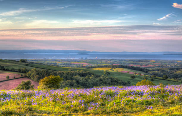 Quantock Hills Somerset view towards Hinkley Point Nuclear Power Station with bluebell flowers in colourful HDR like a painting