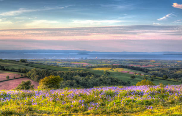 Quantock Hills Somerset view towards Hinkley Point Nuclear Power Station with bluebell flowers in colourful HDR like a painting stock photo