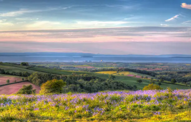 View from Quantock Hills Somerset England UK towards Hinkley Point Nuclear Power Station and the Bristol Channel on a summer evening with bluebell flowers in colourful HDR like a painting