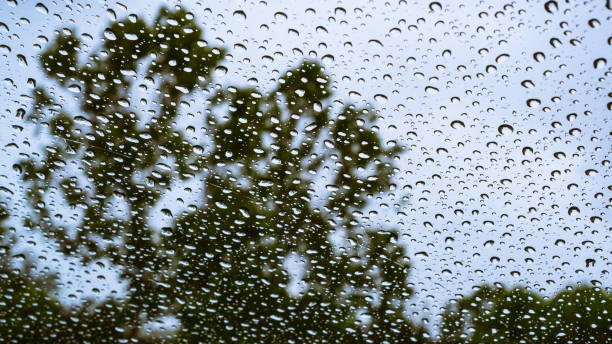 istock Drops of rain on the window; blurred trees in the background 1151487254
