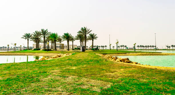 istock public parks in beautiful cities and greenery 1151489911