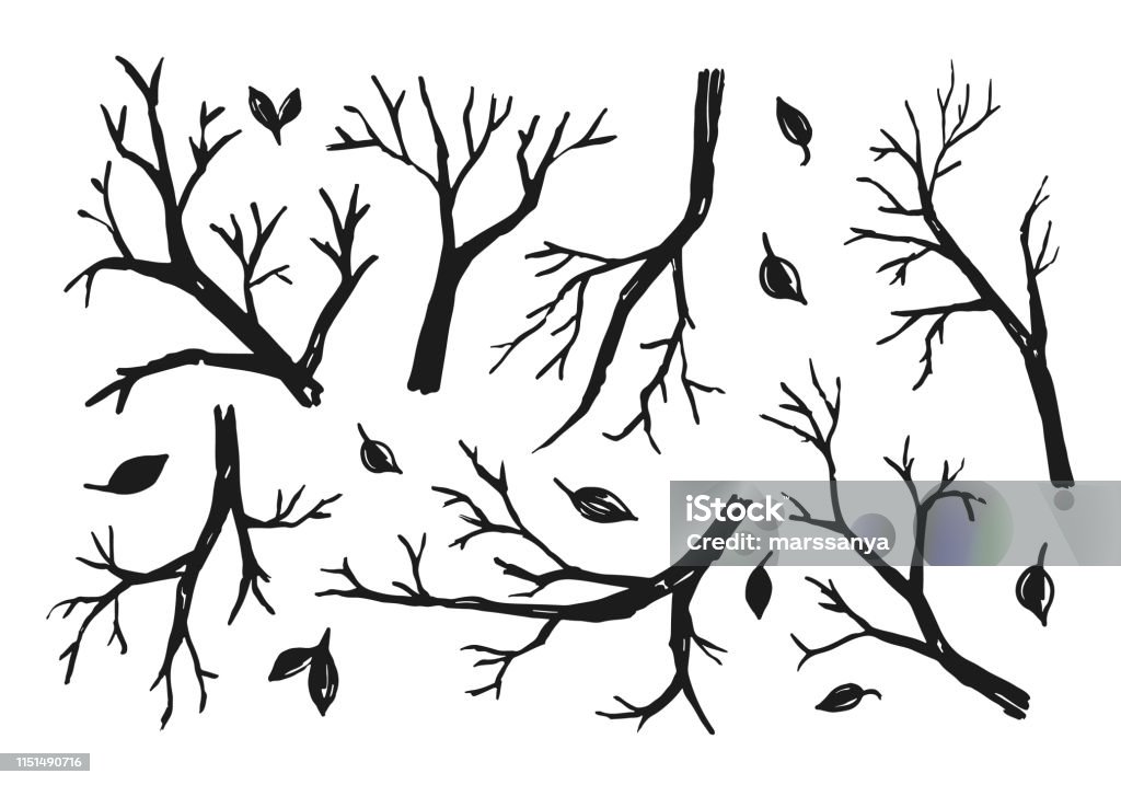 Trees branches sketch Sketch of trees branches on the white background. Abstract stock vector Trees branches sketch Sketch of trees branches on the white background. Abstract stock vector