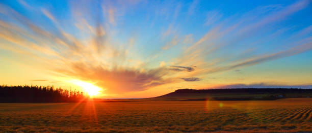 field sunset - water tranquil scene puget sound cloudscape imagens e fotografias de stock