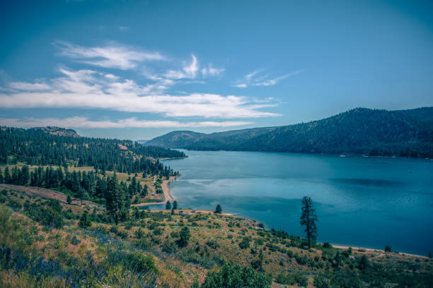 columbia river scenes on a beautiful sunny day columbia river scenes on a beautiful sunny day spokane river stock pictures, royalty-free photos & images