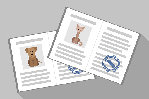 Cat and dog passports with veterinarian stamps. Pet documents