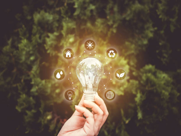 istock Concept save energy efficiency. Hand holding light bulb with icon on blurred tree background 1151503345