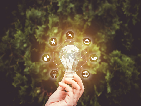 Concept save energy efficiency. Hand holding light bulb with icon on blurred tree background