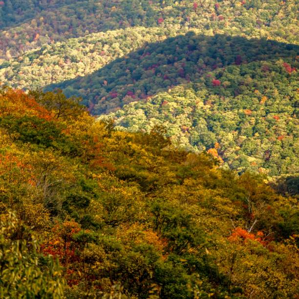 istock blue ridge and smoky mountains changing color in fall 1151506426