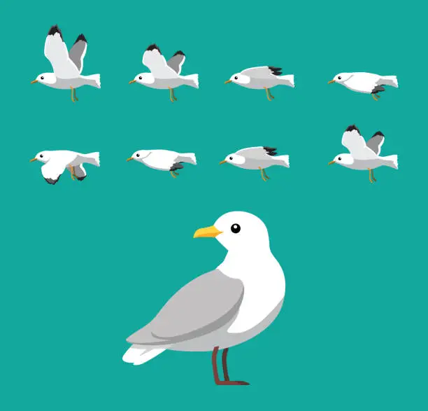 Vector illustration of Seagull Flying Animation Sequence Cartoon Vector