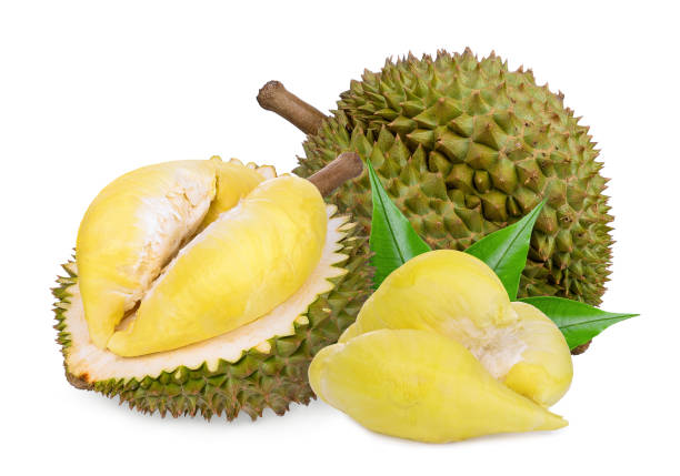 istock durian fruit with leaves isolated on white background 1151510691