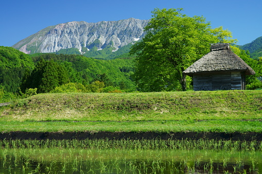 Mt. Daisen and an old Japanese farm house in early summer.