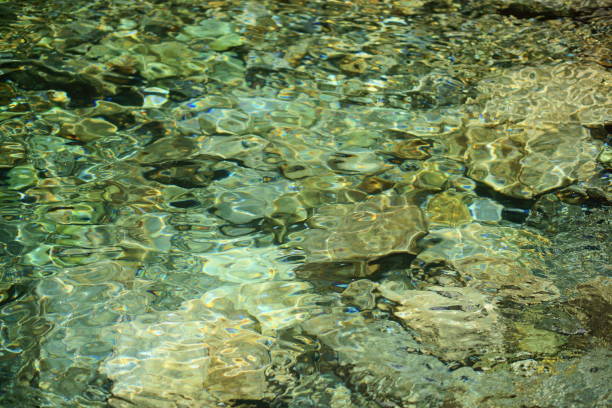 istock Water surface of the river deep in the mountains 1151512385
