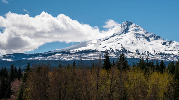 istock Mt Hood on a Sunny Day 1151520263