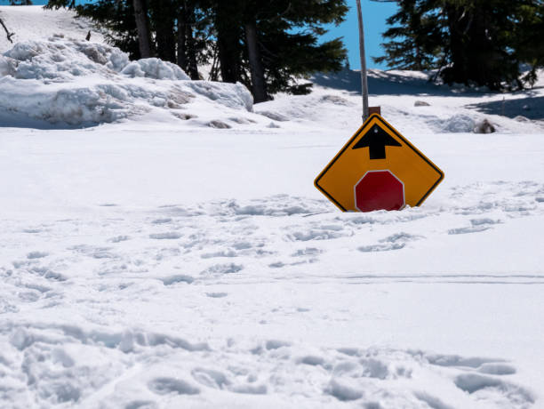 istock Stop Sign Under the Snow 1151520579