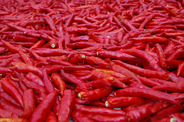 istock background with asia's chili pepper 1151521469
