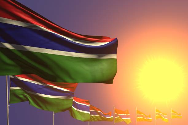 istock beautiful many Gambia flags placed diagonal on sunset with place for content - any celebration flag 3d illustration 1151523116