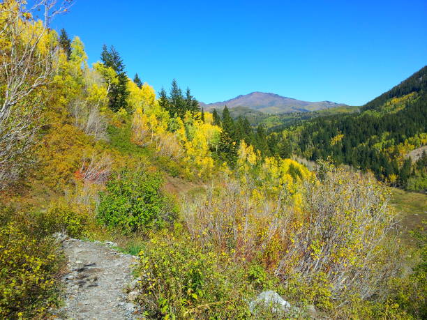 istock Fall colors along Alpine Loop Highway in Utah 1151527370