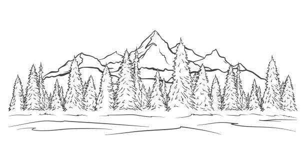 ręcznie rysowane góry szkic krajobraz ze szczytami i lasem sosnowym. konstrukcja linii - outline hiking woods forest stock illustrations