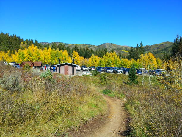 Fall colors at Timpanooke trailhead to Mt Timpanogos
