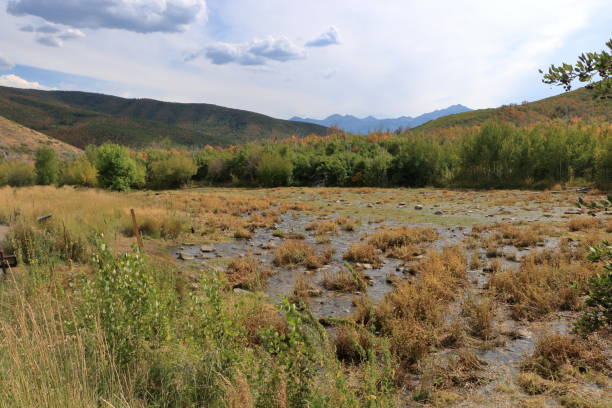 istock Hot Springs Marsh at Cascade Springs, Heber, Utah 1151528229