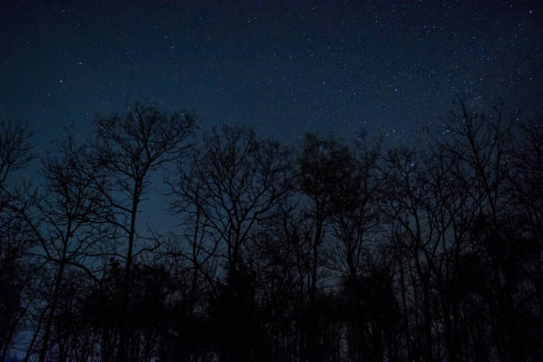 istock Garlaxy and Milkyway 1151529346