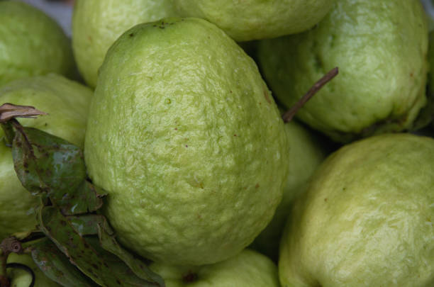 istock Background with guava fruit grown in tropics 1151531518