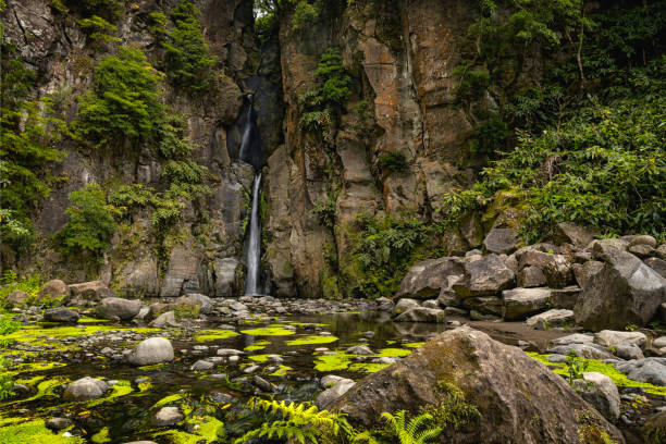 Nestled amidst the Lush Greenery of the Forest,a Majestic Waterfall Cascades Gracefully amidst the Trees and Mountains,Its Gentle Roar Echoing through the Tranquil Landscape,a Mesmerizing Sight that Captivates the Senses and Evokes a Profound Appreciation for the Wonders of the Natural World.