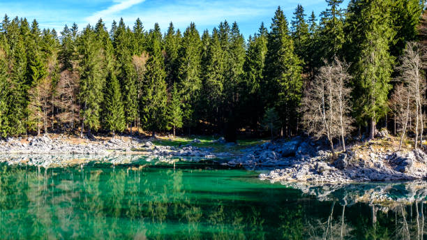 istock Spring morning at the alpine lake 1151539458