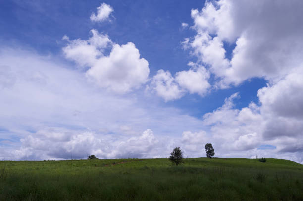 istock plain of jars in phonsavan laos 1151540483
