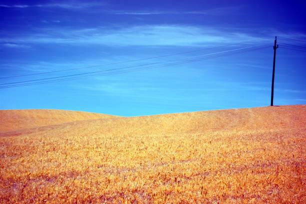 istock Infrared landscape in Austria 1151543404