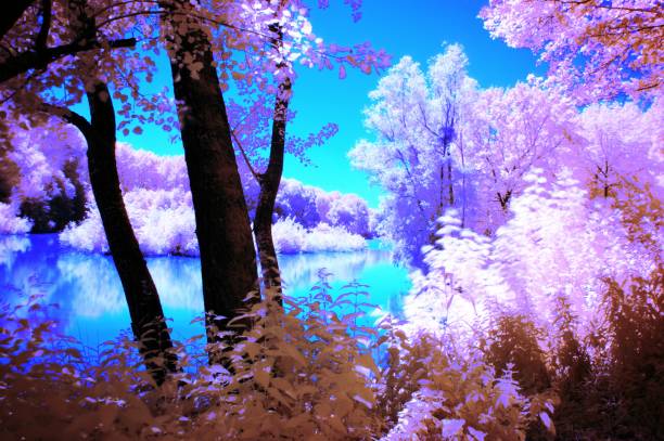 istock Infrared landscape in Austria 1151543458