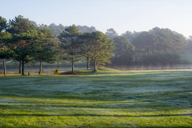 istock Nature with magic sunrays, sunshine, light and green grass, meadow. Photo use in idea design for golf, fresh environment 1151543477